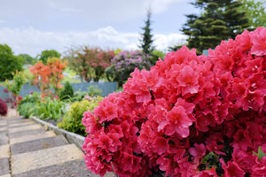 Photo 11- click for photo gallery